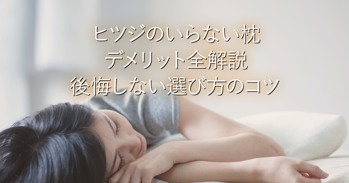 ヒツジのいらない枕 デメリット全解説｜後悔しない選び方のコツ_001