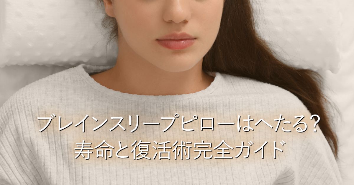 ブレインスリープピローはへたる？寿命と復活術完全ガイド_001