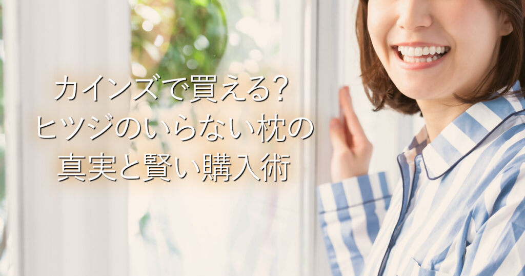 カインズで買える？ヒツジのいらない枕の真実と賢い購入術_001