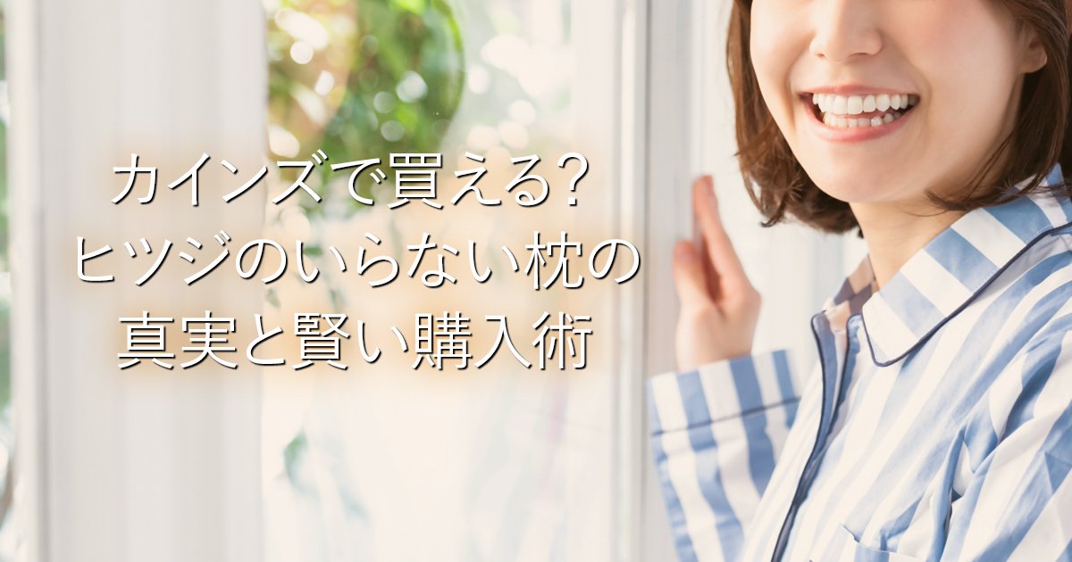 カインズで買える？ヒツジのいらない枕の真実と賢い購入術_001