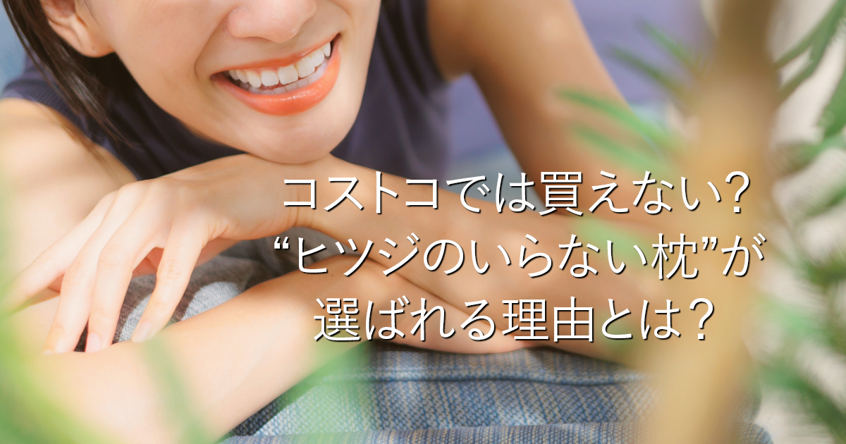 コストコでは買えない？“ヒツジのいらない枕”が選ばれる理由とは？_001