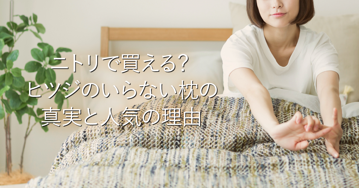 ニトリで買える？ヒツジのいらない枕の真実と人気の理由_001