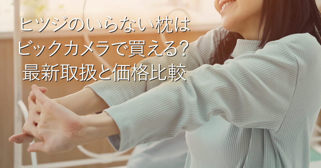 ヒツジのいらない枕はビックカメラで買える？最新取扱と価格比較_001