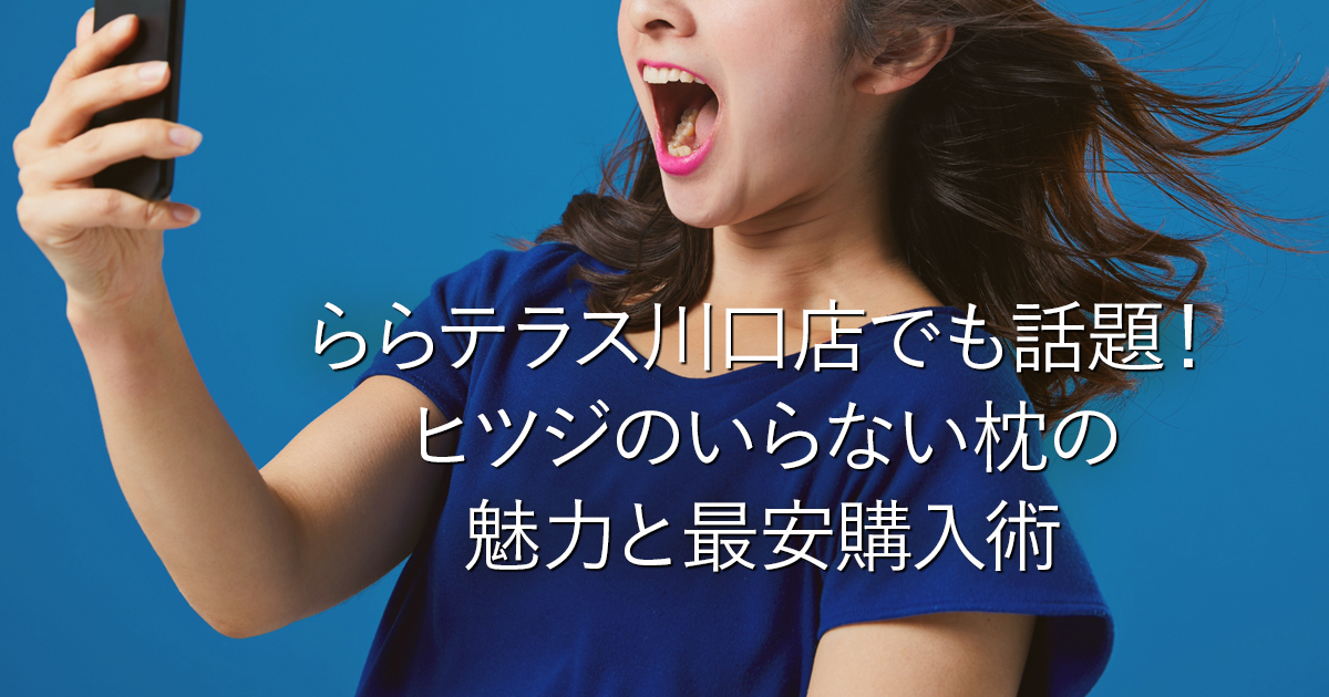 ららテラス川口店でも話題！ヒツジのいらない枕の魅力と最安購入術_001