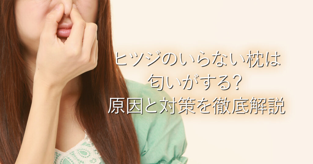 ヒツジのいらない枕は匂いがする？原因と対策を徹底解説_001