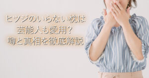 ヒツジのいらない枕は芸能人も愛用？噂と真相を徹底解説_001